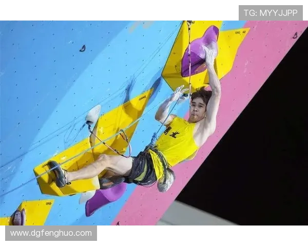 广州攀岩队勇夺最新攀岩耐力排行榜TOP10冠军引领风骚